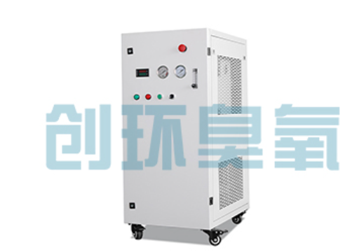 宜春石斑鱼养殖水质调控完整指南:臭氧发生器配置与操作步骤