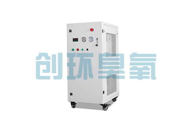 宜春比传统换水更高效？臭氧发生器在石斑鱼养殖中的水质净化原理解析